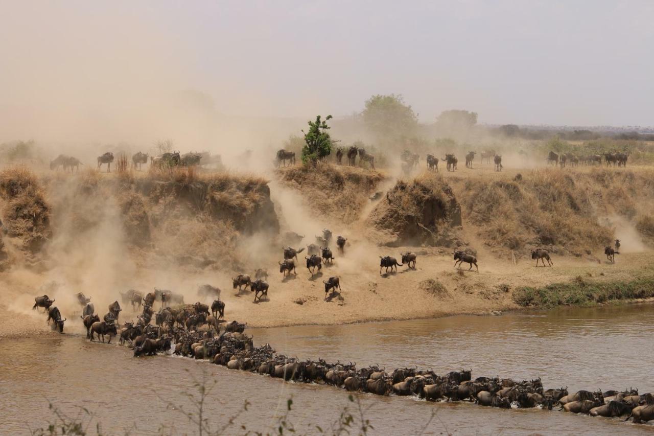 Gnu Mara River Camp 세렝게티 외부 사진