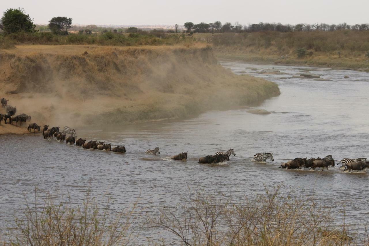 Gnu Mara River Camp 세렝게티 외부 사진